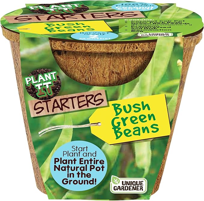 Unique Gardener Plant-It Starters Plant Seeds 4-Pack, DIY Indoor Succulents and Live Plants for Home or Garden Planting, Green Bush Beans