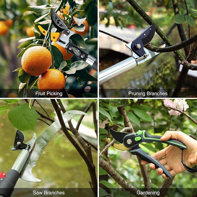 10FT Telescoping Pole Saw with Pruner, Extendable Tree Trimmer & Cut and Hold Fruit Picker for Garden Harvesting, Cherry, Avocado, Citrus