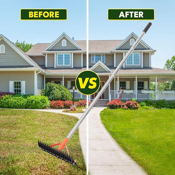Thatch Rake for Lawns 18 Sharp Tempered Spring Steel Tines Dethatcher Rake Heavy Duty Dethatching Rakes with 62.5" Adjustable Stainless Steel Handle for Lawn Care，Dead Grass, Garden, Yard
