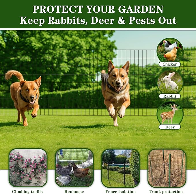 Black PVC Coated Welded Wire Fence 24 Inch x 100 Foot,2 Inch x 3 Inch 16GA,Wire Fencing Roll,Garden Border Fence Roll Vinyl Coating Metal Wire Mesh for Yard Vegetable Plant Protection Poultry Netting