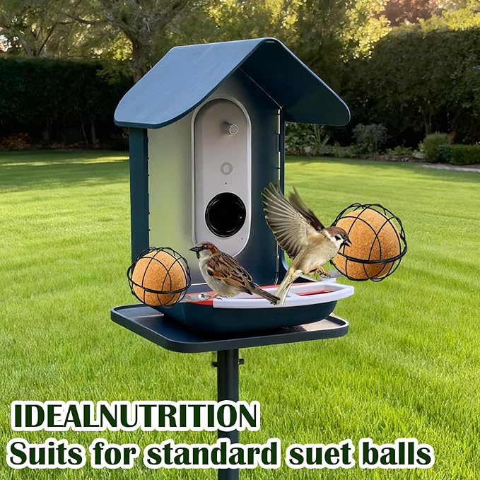 Metal Suet Ball Holder, Black Bird Suet Ball Cage Durable Bird Feeder Accessories with 5mm Screw Hole and 2PCS Perch Extender Compatible with Outdoor Smart Feeders (2 PCS-Dia 3.15", Dia 2.75")