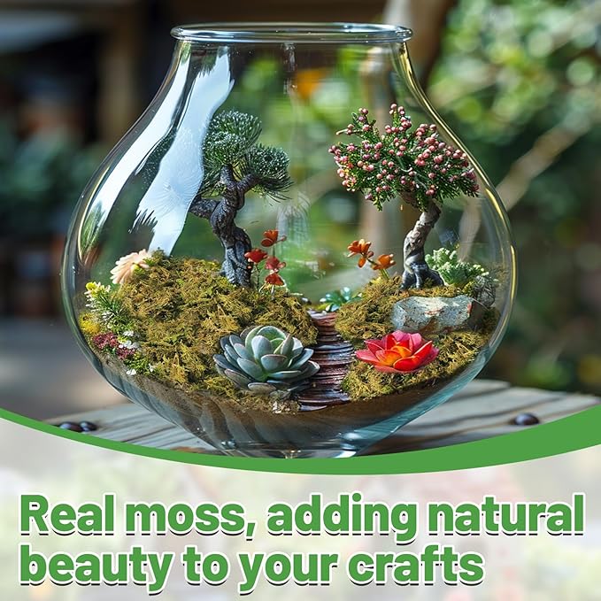 Alphatool 10oz Natural Green Moss for Crafts Beginners - Starter Moss for Plants Indoor, Artificial Fairy Gardens, Mini Mosswall, Glass Terrariums, Filling Fake Plants, Home Decoration