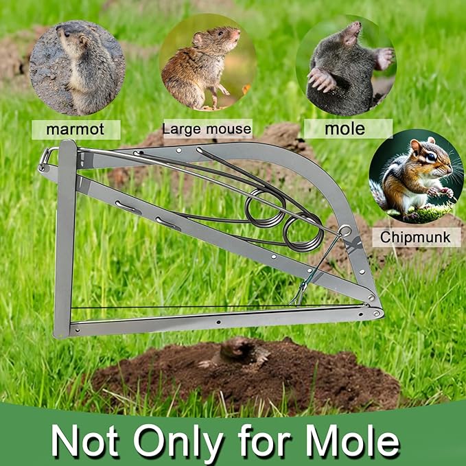 Reusable Outdoor Chipmunk Spring Trap - for Meadow, Woods, Orchard, Gardens & All Outdoor Spaces (1, M-6IN)