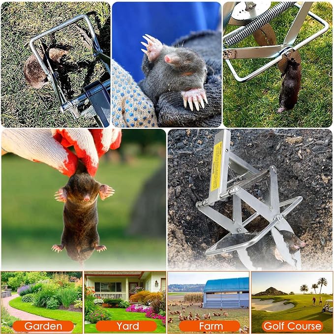 TeqHome 2 Pack Mole Traps, 2025 Upgraded Galvanized Steel Scissor Trap, Outdoor Reusable Gopher Traps Easy-Set Quick Capture Solution for Ground Moles and Gophers in Lawns Garden Yard (Silver)