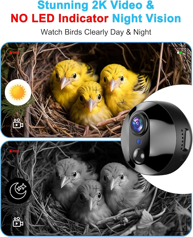 Smart Bird House with Camera for Small Birds Nesting, 2K HD Wi-Fi Bird Watching Cam for Birdhouse, Auto Detect&Notify, Night Vision, APP Control, Wooden Birdhouse with Camera Inside