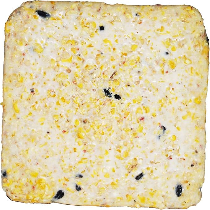 Suet Cake 12 Pack | Case of 12 Suet Cakes for Wild Birds (Woodpecker High Energy)