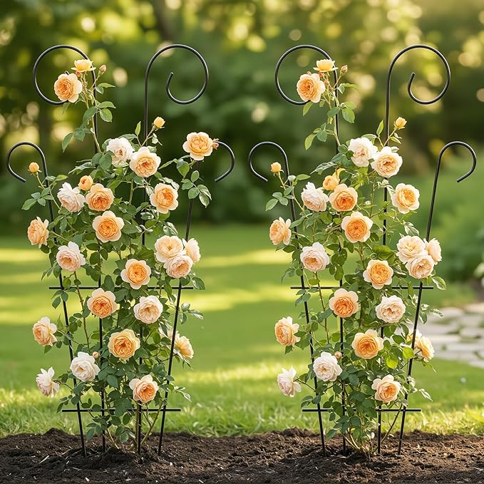 Thealyn 4 Pack 43 Inch Plant Trellis for Potted Plants, Metal Garden Trellis for Climbing Plants, Indoor Outdoor Decorative Vine Support for Pots, Wave Shape, Black