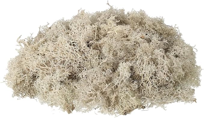 uxcell Preserved Reindeer Moss, 17.6oz Fake Moss for Crafts Artificial Dried Moss for Decoration Terrariums Potted Plants, Cream