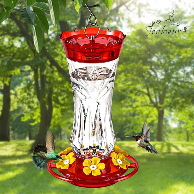 Jealoeur 2 Pack Hummingbird Feeder for Outdoors Hanging, 18 OZ Humming Birds Feeders with 6 Bee Guard Feeding Ports & Built-in Ant Moat, Easy to Clean, Durable Outdoor Garden Decor(Clear AA)