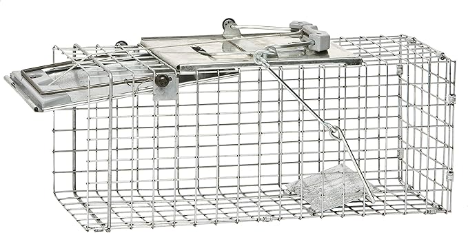 Havahart Easy-Set Catch and Release Small 1-Door Humane Live Animal Trap for Squirrels, Rabbits, Skunks, and Other Small Animals - 1083