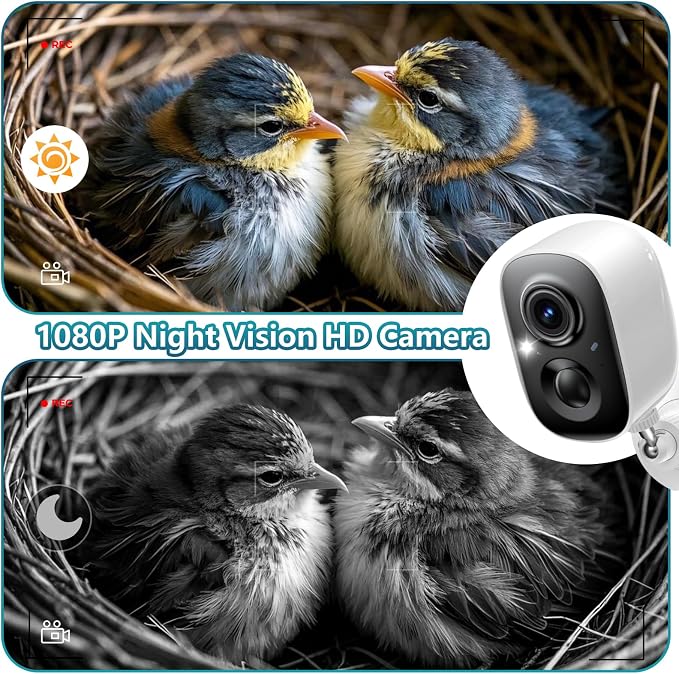 Smart Bird House with Camera, 1080P HD Birdhouse with Camera Inside Solar Powered 2.4G WiFi & App Notify, Bird Houses for Outside with Nest Auto Capture Photo & Video