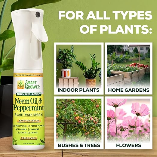 Neem Oil Spray for Plants with Peppermint Oil, Natural Plant Wash Made for Indoor and Outdoor Plants Smart Grower 10oz Easy Ready-to-Use Fine-Mist Premium Sprayer