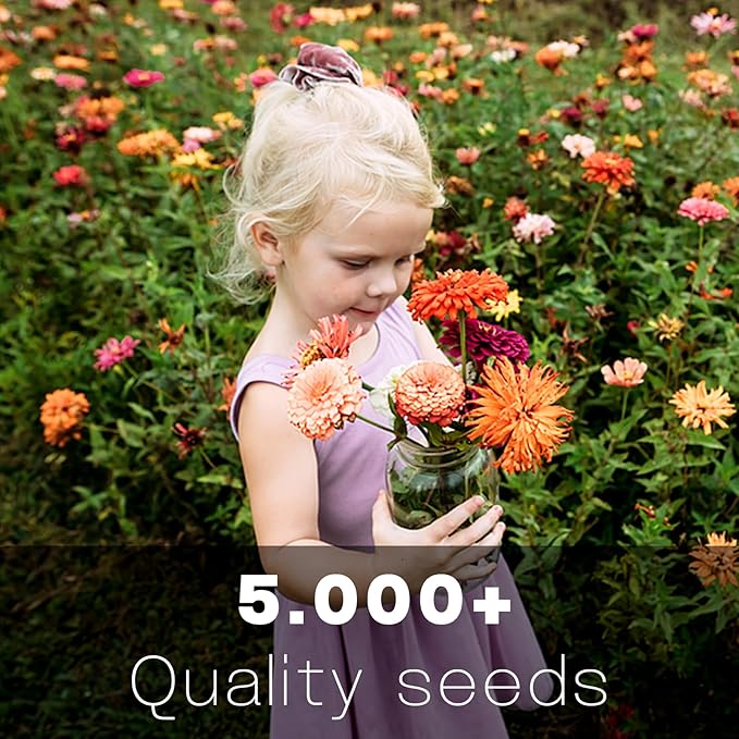 Zinnia Seeds Bulk 5,000+ | Outdoor Flower for Planting |Giant Zinnia Seeds for 2026 | Mixed Colors & Large Blooms for Gardens| High Germination, Beginner-Friendly