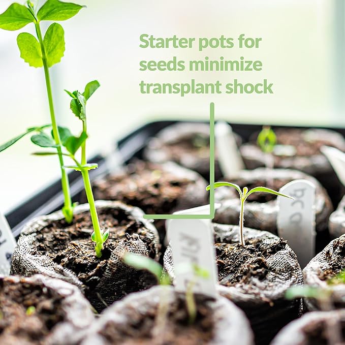 100 Count- Jiffy 36 MM Peat Soil Pellets Seeds Starting Plugs: Indoor Seed Starter- Start Planting Indoors for Transplanting to Garden or Planter Pot