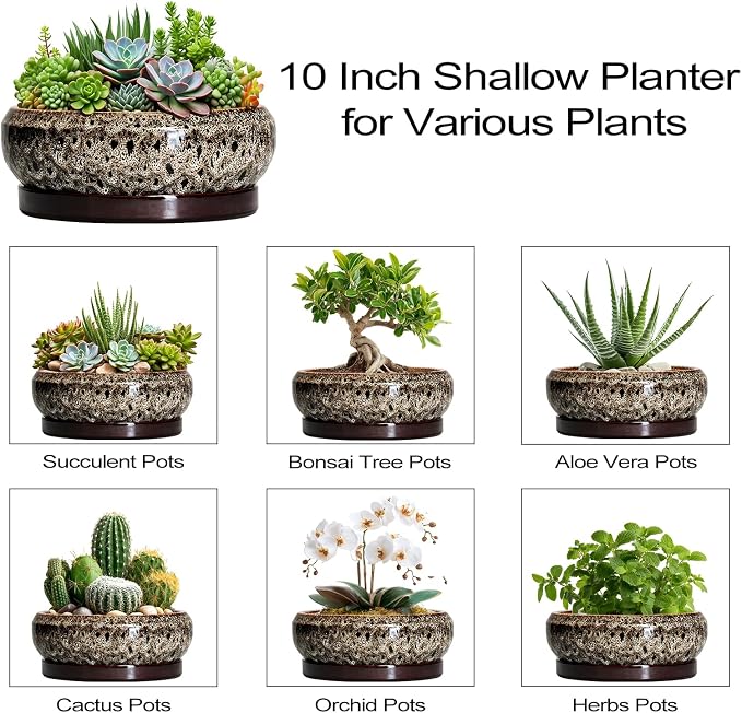 Succulent Pots 10 Inch - Ceramic Bonsai Pots with Drainage Hole and Tray, Large Succulent Planters, Shallow Planter Indoor, Round Planter Bowl, Window Decor, Gifts for Plant Lovers, White