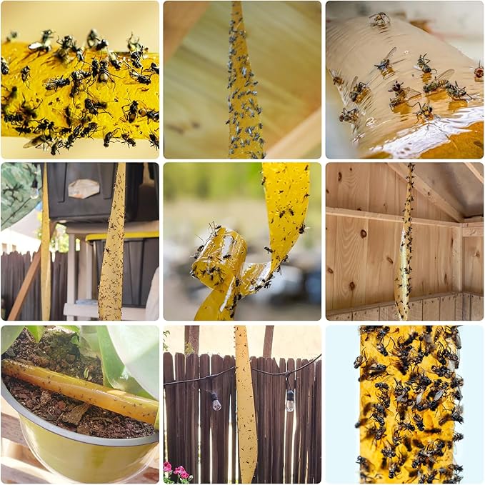 40 Pack Fly Traps Strips Indoor Outdoor, Flies Paper Sticky Hanging with Pins, Fruit Fly Tape Ribbon Roll for Home, Bug & Gnat Catchers for Inside, House Fly Killer for Winged Insect, Mosquito