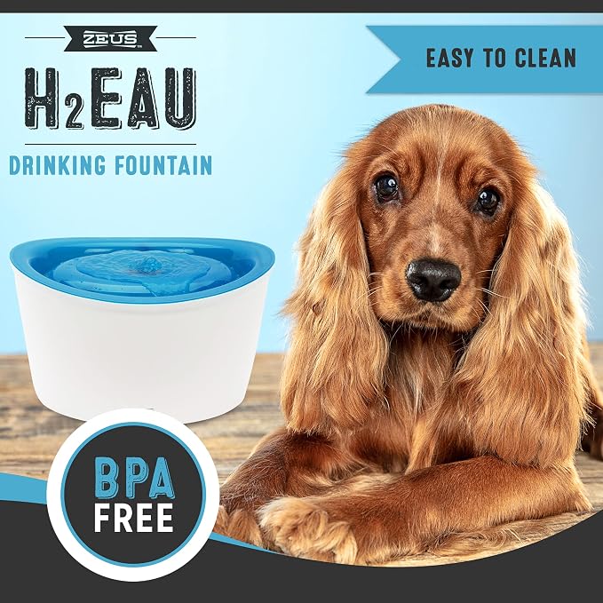 ZEUS H2EAU Elevated Dog and Cat Drinking Water Fountain with Purifying Filter, 6L Capacity (Pack of 2)