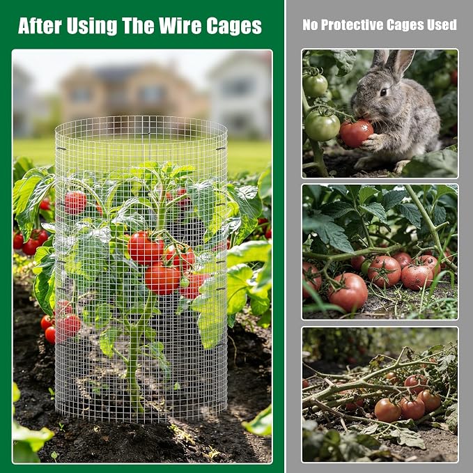 30Pcs Garden Plant Protector Cage 12''x12'', 10 Set Metal Wire Protectors for Plants, Protection Cages with Stakes Nylon Ties, Animals Barrier to Keep Chicken Rabbit Away from Plants Flower Vegetables