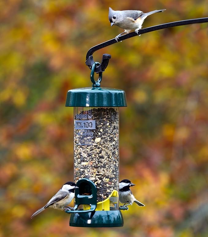 Brome Tube100 Wild Bird Feeder, Metal – 2 Seed Ports, 1.7 lb Capacity, Extra-Wide Perches, Easy to Fill & Clean, Pole-Mountable, Seed Tray Available