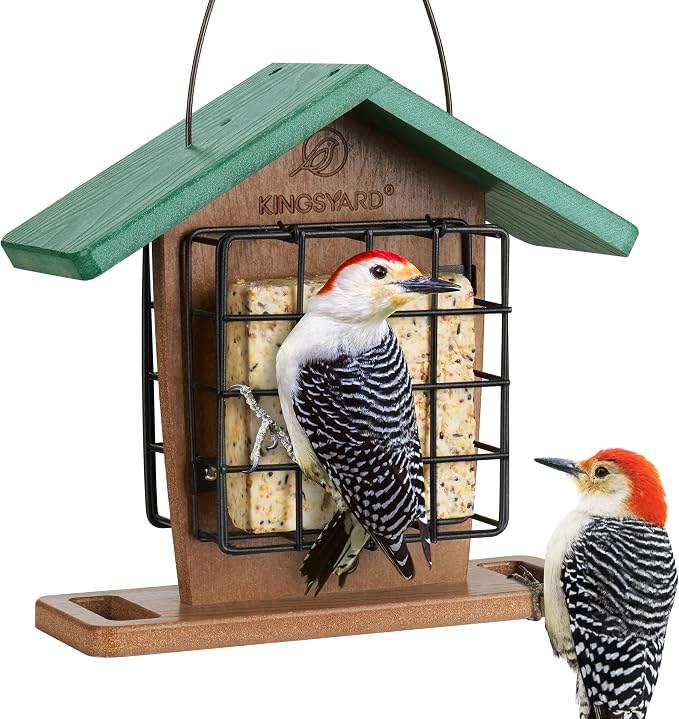 Kingsyard Double Suet Bird Feeder with Weatherproof Roof & Perch 2-Pack Heavy Duty Deck Hook