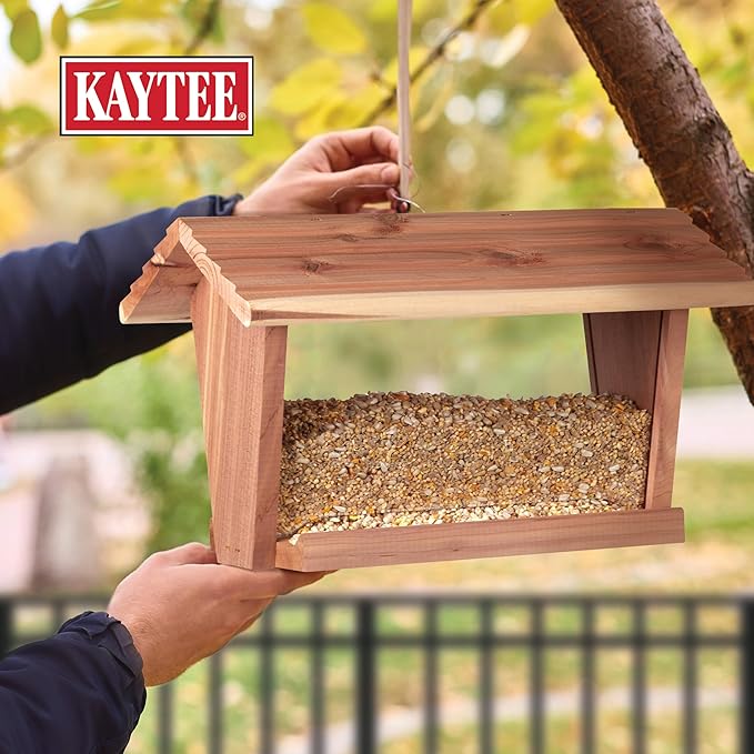 Kaytee Bird & Balcony Wild Bird Food No Mess Seed Blend for City Dwelling Birds Like Finches, Sparrows, Mourning Doves and More, 5 lb