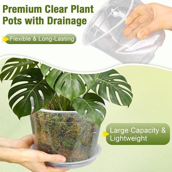 12/10/8/6/4 Inch Clear Nursery Pots with Drainage and Saucers, 20 Pack Large Clear Plastic Nursery Pots for Plants, Seedling Plant Pots for Repotting and Growing Plants, Flowers & Vegetables