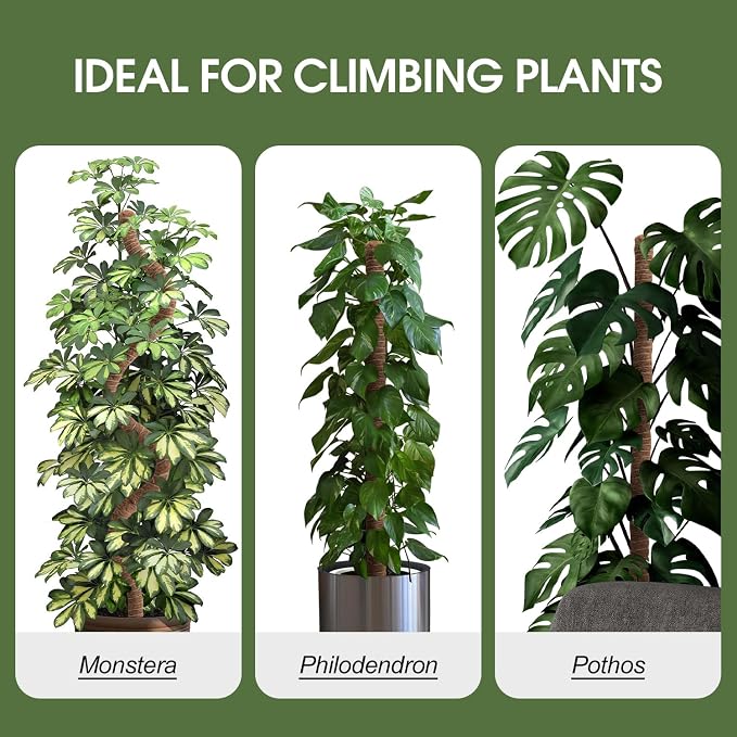 2 Pack Moss Pole, 63 Inch Bendable Moss Poles for Plants Monstera Long for Climbing Plants, Extra Large Handmade Pole Plant Sticks Support Stakes for Indoor Plants to Grow Upwards