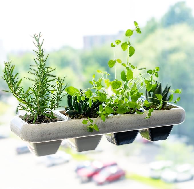 Eco-Friendly Wheat Fiber No Plastic Planter. Floating Window Shelf for Plants & Herb Garden with Removable Pots (Black & White Pots)