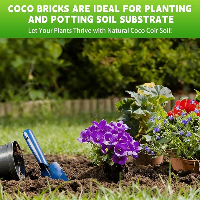 12 PCS Coco Coir Bricks - Compressed Coconut Fiber Substrate for Plants, Gardening, Potting Mix. Low EC & Balanced pH Natural Growth Medium for Seed Starting, Herbs