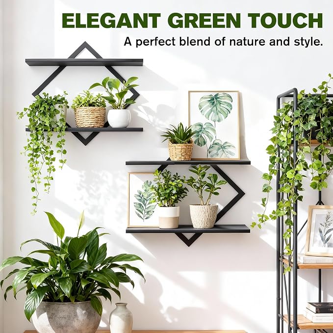 2 Pack Wall Planters for Indoor Plants, Black | 2-Tier Floating Wall Shelves, Wall Mounted Plant Holder Stand, For Bathroom Living Room Bedroom Kitchen Office