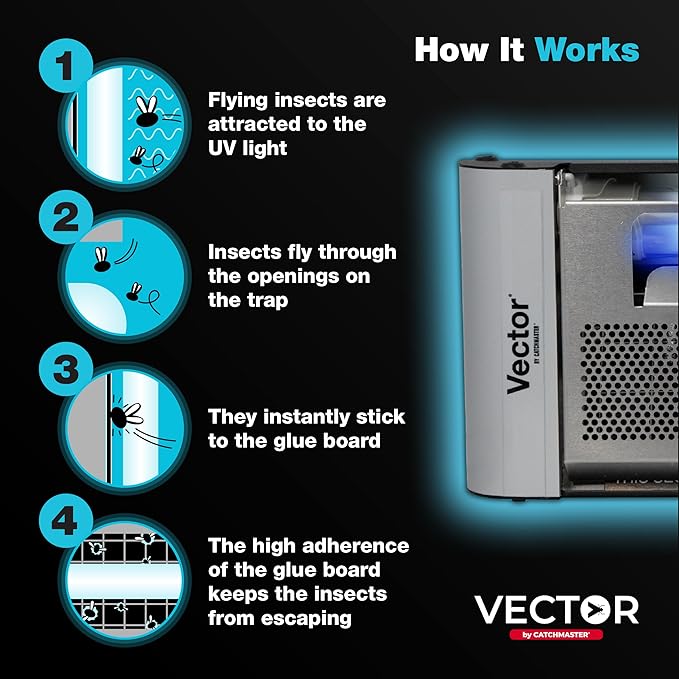 Catchmaster Vector Plasma One Wall-Mounted UV Fly Light Trap - 1,900 sq. ft. Catch Zone, UV Lamp Fly Trap for Dining Rooms, Commercial Kitchens, Fresh & Dry Food Storage, and Clean Medical Spaces