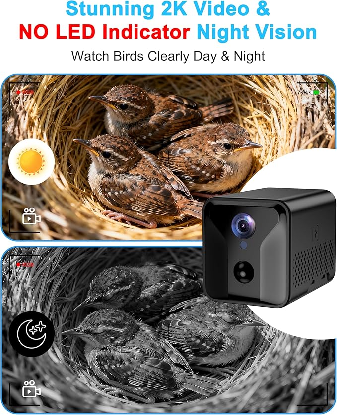 Bird House with Camera Solar Powered,2K HD Wi-Fi Bird Watching, Auto Detect&Notify, Night Vision, APP Control, Birdhouse for Small Birds Nesting, Wooden Birdhouse with Cam Inside (Solar-Powered)