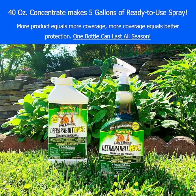 Nature’s Mace Deer and Rabbit MACE, Deer Repellent Spray For Plants, 40oz Ready-To-Use, Deer Deterrent, For Home & Garden, Protect Plants Fast, Keep Deer Out, Safe Around People, Pets, Plants, Produce