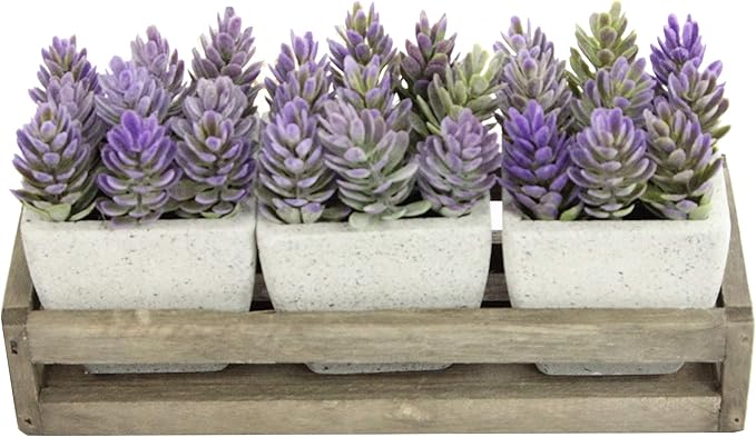 Admired by Nature 3pcs Succulents Terracota Rustic Style W/Wooden Tray Indoor Spring Summer Faux Plant décor, Wedding Centerpieces, Tabletop, Home Décor, Office Desk, Kitchen Table Décor, Green