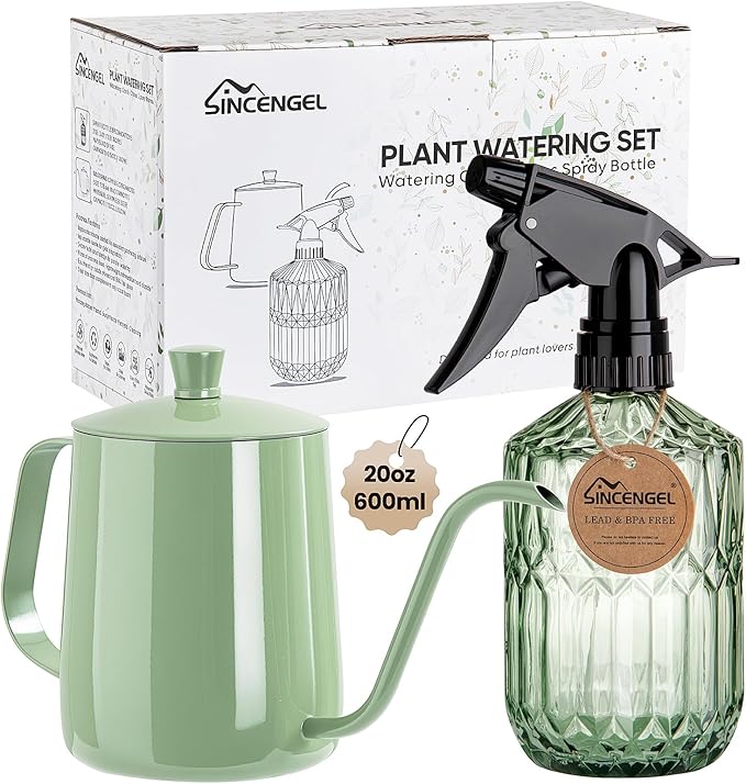 Watering Can for Indoor Plants, 20 oz Metal Small Plant Watering Can with Long Spout for House Plants, 13.5 oz Glass Plant Mister Spray Bottle for Bonsai Garden Flowers Decorative (Green)