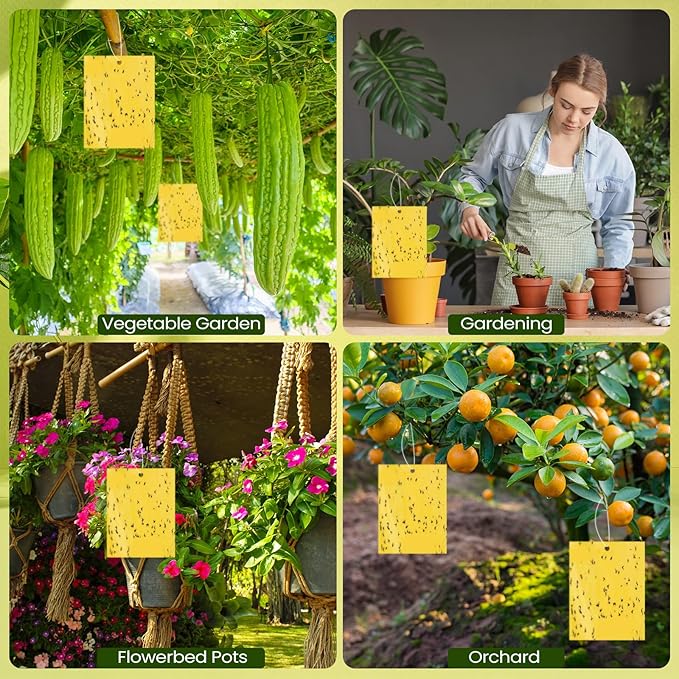 Qualirey 50 Pcs 6x8 Inch Yellow Sticky Traps for Gnats, Dual-Sided Sticky Gnat Traps for Indoor Outdoor Plants, Pest Control for Fungus Gnats, Fruit Flies, Whiteflies with Twist Ties