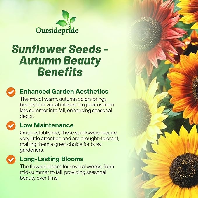 Outsidepride Autumn Beauty Sunflower Seeds for Planting - 5 Lbs. Annual, Easy to Grow Flower Seeds w/Vibrant, Abundant Blooms for Cut Flower Arrangements & Pollinator & Vegetable Gardens