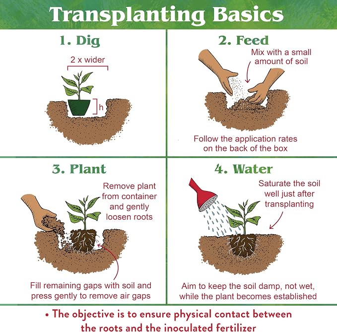 Down To Earth All Natural Fertilizers Organic Bio-Live Starter & Transplant Mix with Mycorrhizal Fungi and Benefical Microbes for Plant Food 5-4-2, 4 lb