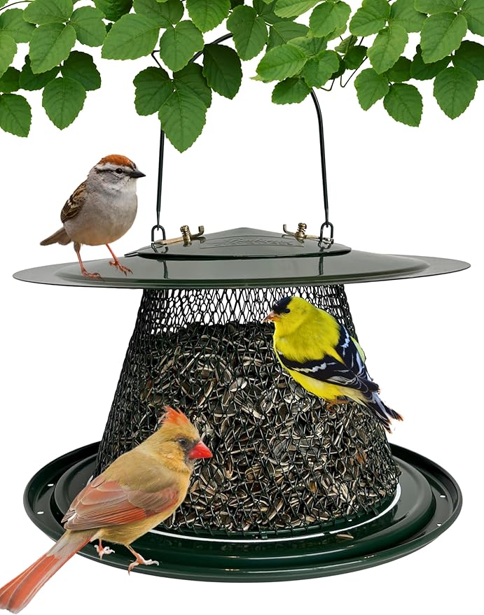 Collapsible Metal Mesh Bird Feeder with Tray - Green Cardinal Feeder - Holds 12 Cups of Sunflower Seeds