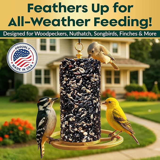 All Year Round Bird Seed Cylinders with Hole – All Season Wild Bird Food for Blue Jays, Cardinals, Doves, Finches & More – Balanced High Energy All Natural Blend, No Fillers – USA Made (6" x 7.75")