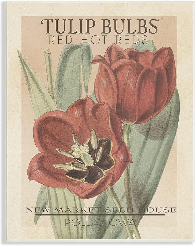 Stupell Industries Hot Red Tulip Bulbs Antique Floral Seed Packet