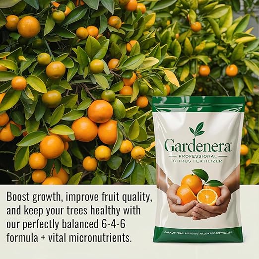 𝐁𝐄𝐒𝐓𝐒𝐄𝐋𝐋𝐄𝐑 Citrus Fertilizer + Vital Micronutrients - Perfect Balanced NPK for All Citrus - for Indoor and Outdoor Plants - Orange, Lime, Avocado and Lemon Tree Fertilizer - 5 QUARTS