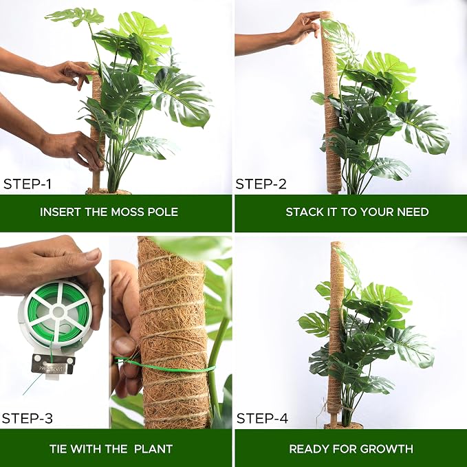 EcoNour 26.5" (2 Pack -16") Stackable Moss Pole for Monstera Plant Support | Moss Pole Sticks for Indoor Plants | Bamboo Plant Stakes,Climbing,Potted,Pothos| Philodendron & Creepers with Tie Accessory