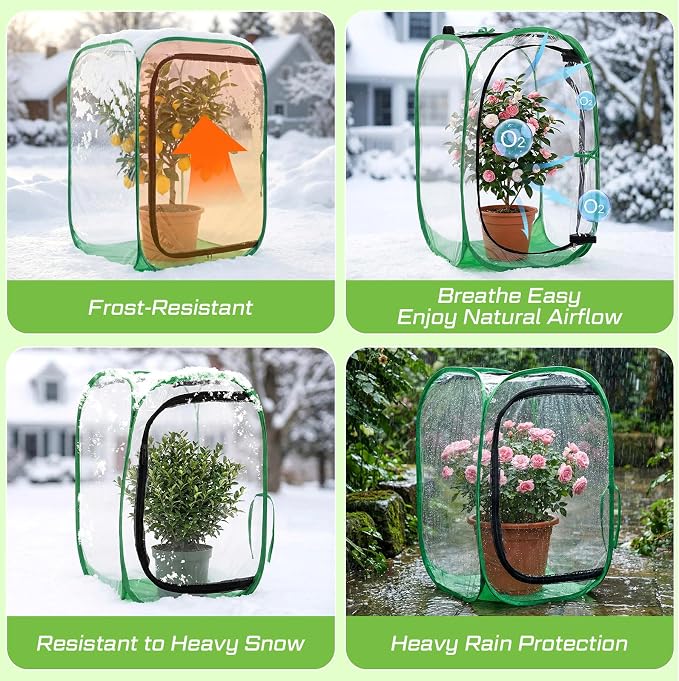 2 Pack Pop up Plant Enclosure Cover Foldable Clear PVC Mini Greenhouse for Freeze Protection with Zipper Door 24 x 24 x 36 Inch Garden Plant Cover Protect Fruit Vegetable Fruit from Bird Pest
