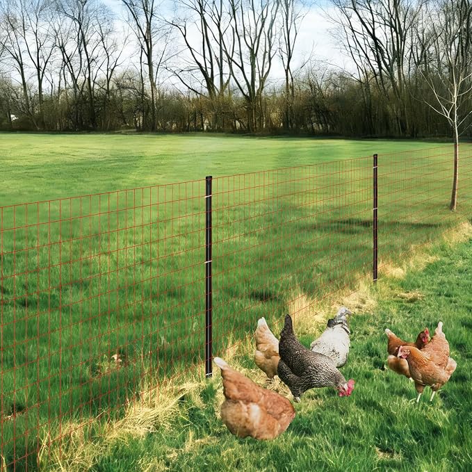 Red PVC Coated Welded Wire Fence 48 Inch x 50 Foot, 2 Inch x 4 Inch 14GA, Garden Border Fencing Roll Vinyl Coating Metal Wire Mesh Hardware Cloth for Yard Vegetable Plant Protection