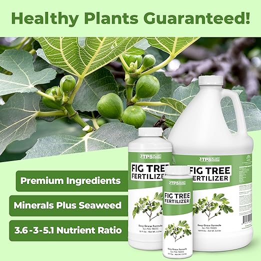 Fig Tree Fertilizer – Liquid Plant Food for Bigger Harvests, Stronger Root Development & Healthy Leaf Growth, 8 oz