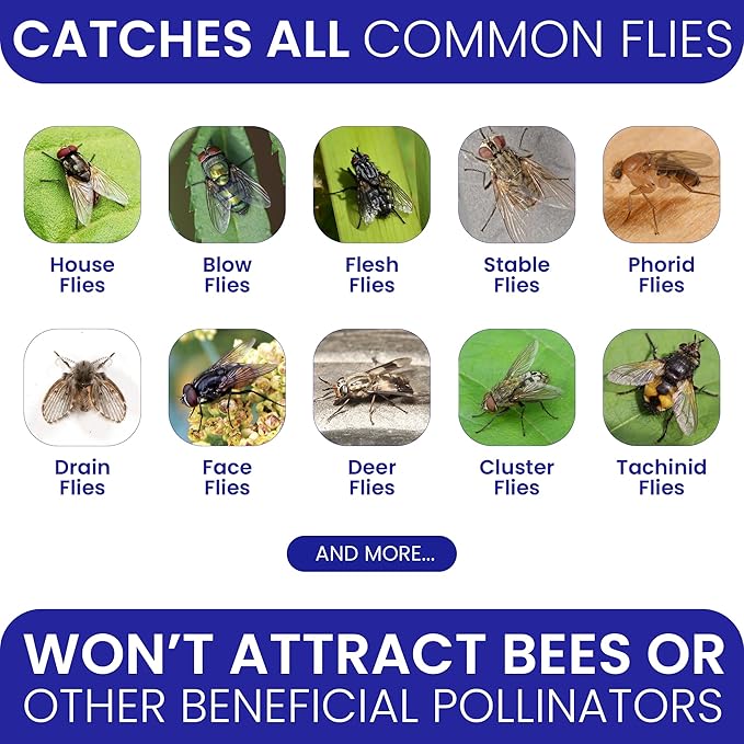 Fly Trap Outdoor Fly Traps for Patio with 2 Non-Toxic Dissolvable Bait Refills. Reusable Hanging Bug Catcher Killer for All Filth Flies for Outside Bug Control Yard Ranch. Hanging Chains Included.