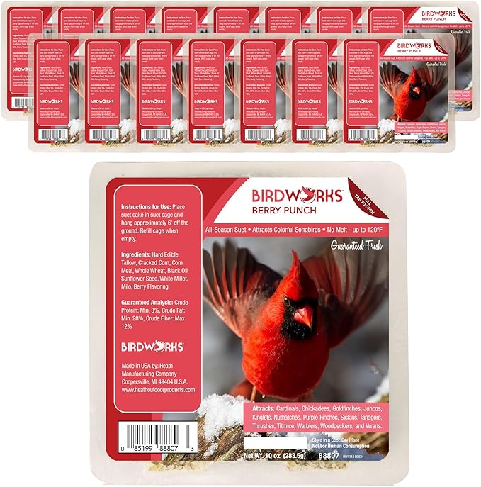 Heath Outdoor Products Berry All Season No Mess Suet Cake Birders Pack, Food for Woodpeckers, Cardinals, Siskins, Sparrows, Finch's & Many More Wild Birds & More - 10oz Suet Feeder, (Pack of 16)