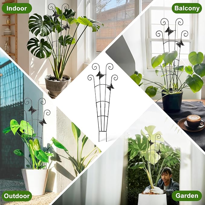 COOMIN 30'' Monstera Plant Support Outdoor, Metal Expandable Plant Supports for Indoor Plants, Garden Monstera Trellis for Climbing Plants Indoor, 2pcs