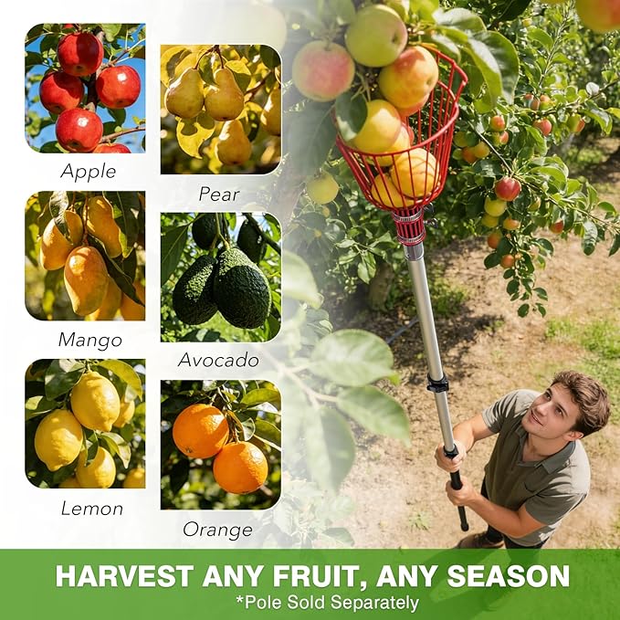 ARTIPOLY Twist-On Fruit Picker Basket Head, Fits Standard US 3/4-inch Acme Threaded Pole, Sturdy Fruit Harvesting Tool for Apple, Avocado, Mango, Orange, Lemon, Pear (Head Only, Pole Not Included)